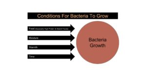 Conditions For Bacteria Growth Diagram